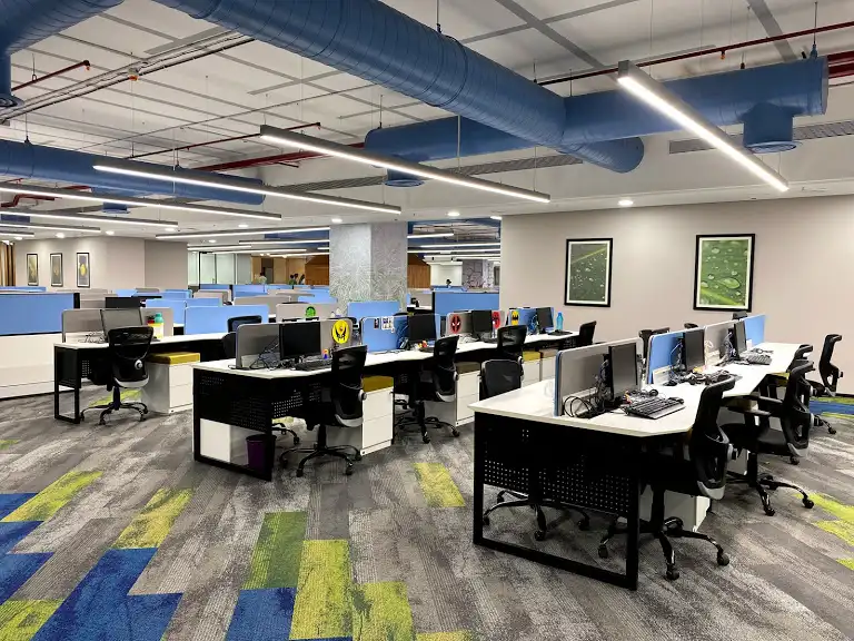 Custom interior fit-out office